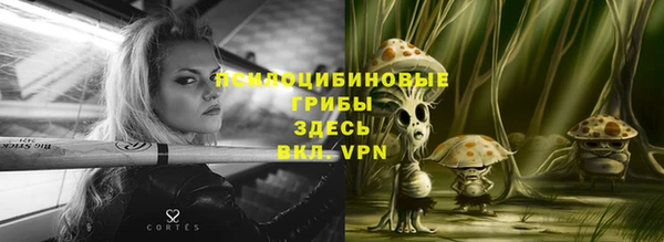 амф Арсеньев