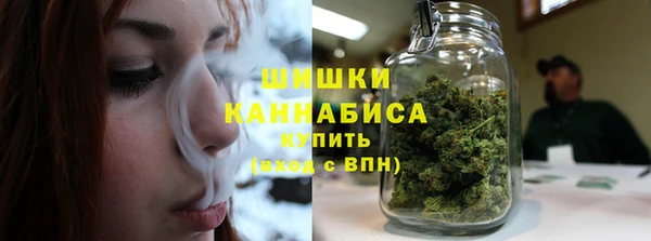 амф Арсеньев