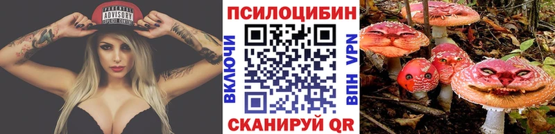 дарнет шоп  маркетплейс как зайти  Галлюциногенные грибы MAGIC MUSHROOMS  Солигалич 